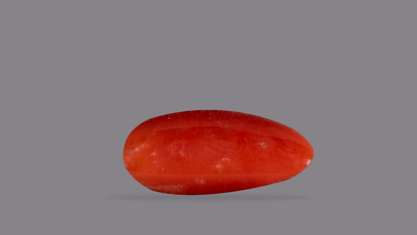 Natural Italian Red Coral (Moonga) 6.26 Carats