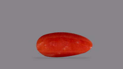 Natural Italian Red Coral (Moonga) 6.26 Carats