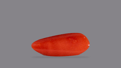 Natural Italian Red Coral (Moonga) 6.27 Carats
