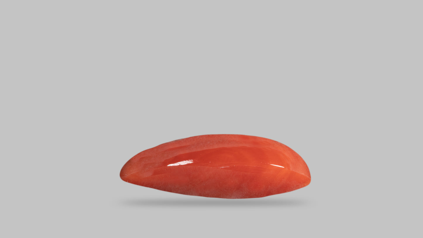 Japanese Red Coral (Moonga) 9.06 Carats