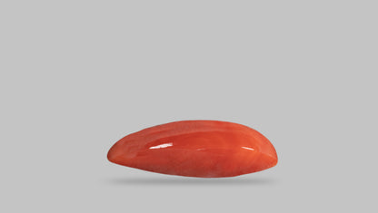 Japanese Red Coral (Moonga) 9.06 Carats