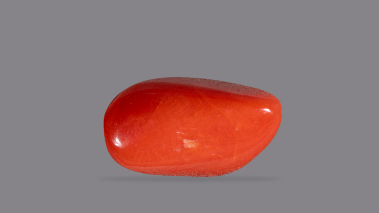 NATURAL RED CORAL (Moonga) 7.39 CARATS