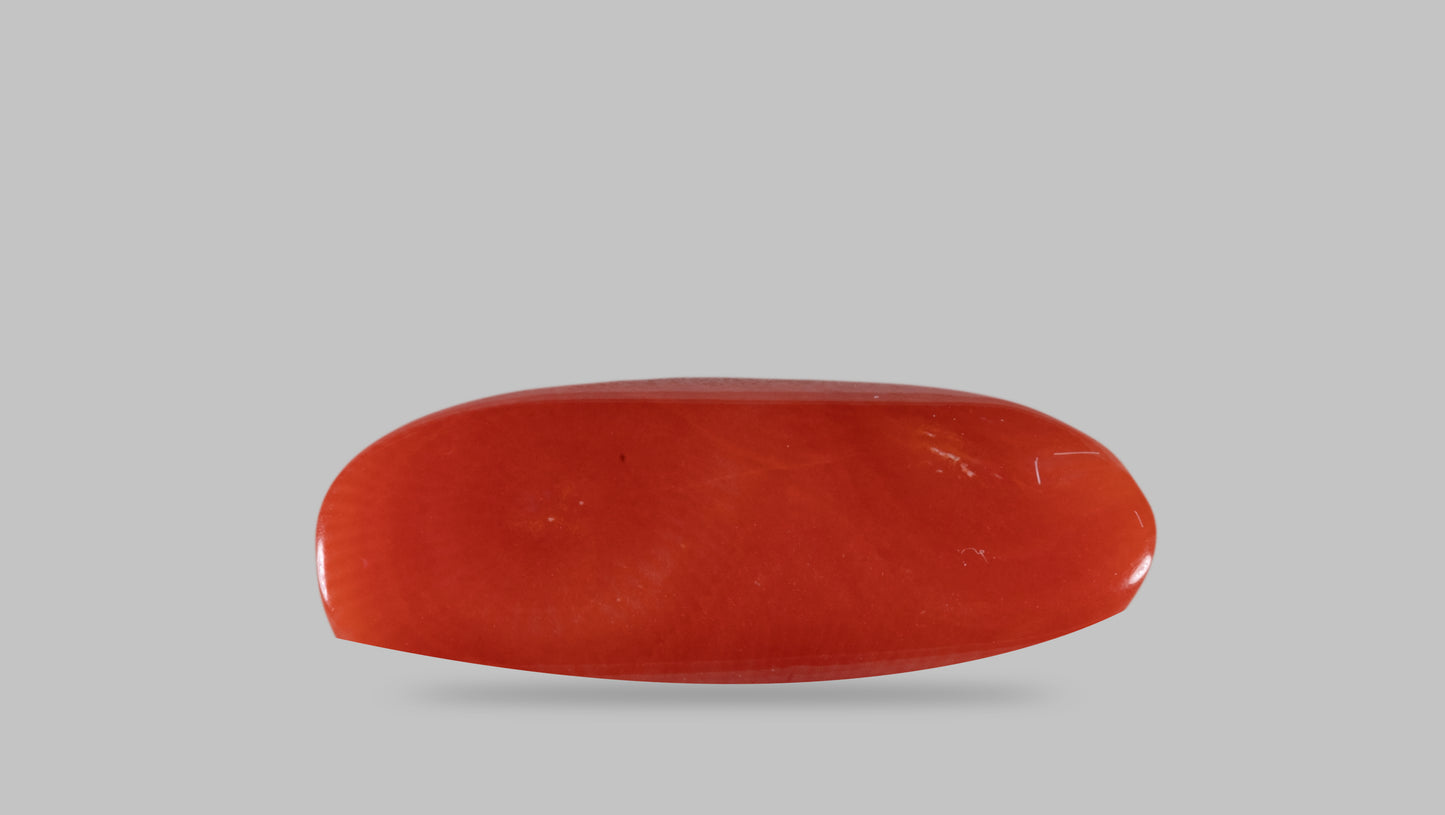Natural Italian Red Coral (Moonga) 14.05 Carats