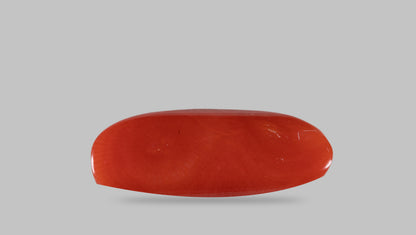 Natural Italian Red Coral (Moonga) 14.05 Carats