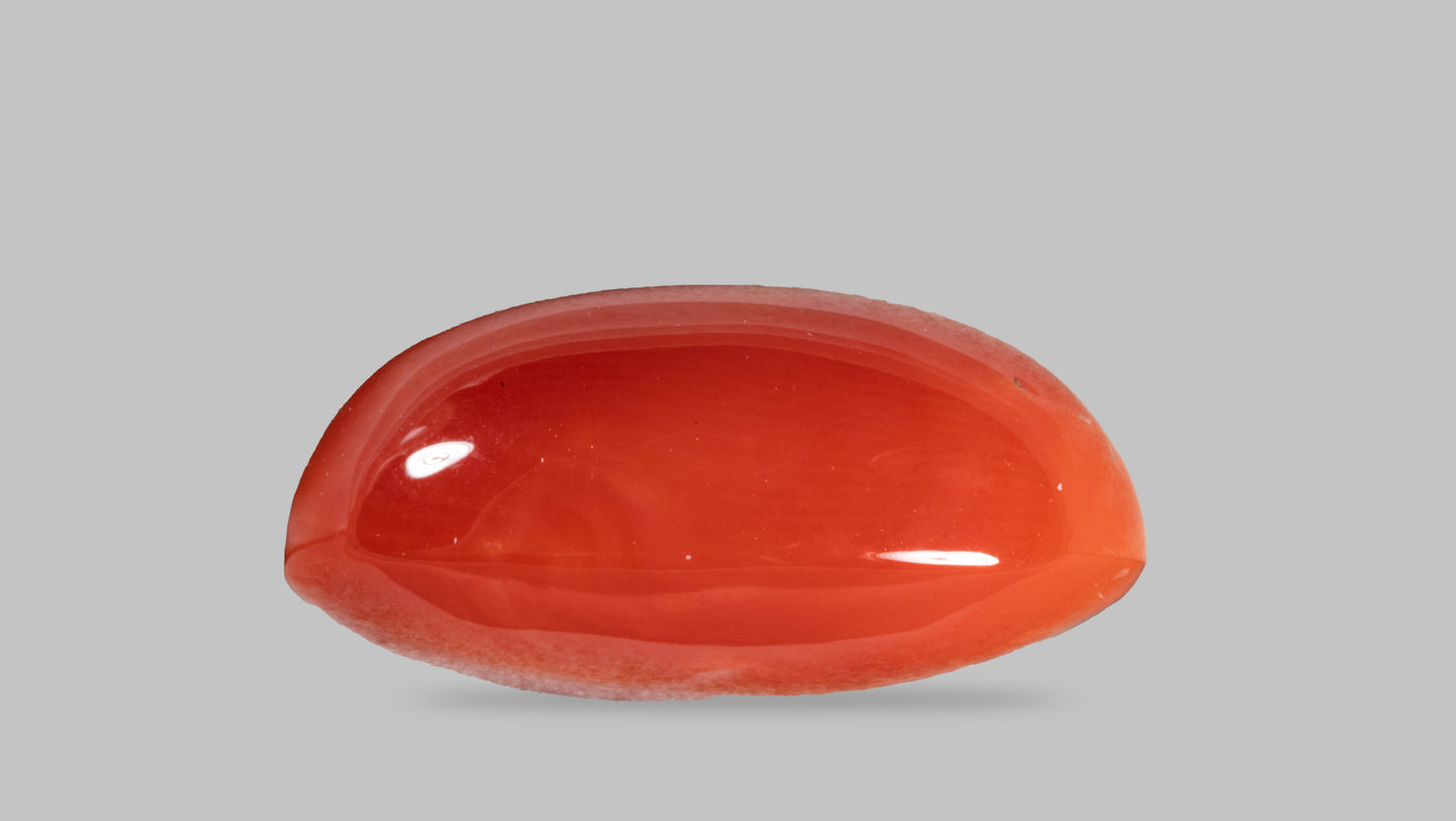 Japanese Red Coral (Moonga) 8.99 Carats