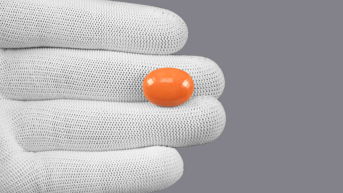 Japanese Red Coral (Moonga) 16.14 Carats