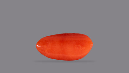 Natural Italian Red Coral (Moonga) 5.42 Carats