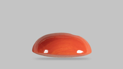 Japanese Red Coral (Moonga) 29.31 Carats