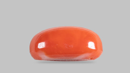 Japanese Red Coral (Moonga) 5.00 Carats