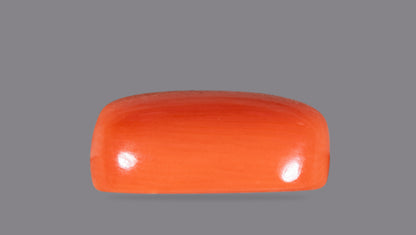 NATURAL RED CORAL (Moonga) 5.74 CARATS