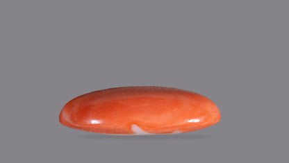 Japanese Red Coral (Moonga) 23.92 Carats