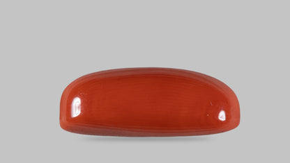 Natural Italian Red Coral (Moonga) 12.74 Carats