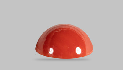 Japanese Red Coral (Moonga) 10.04 Carats