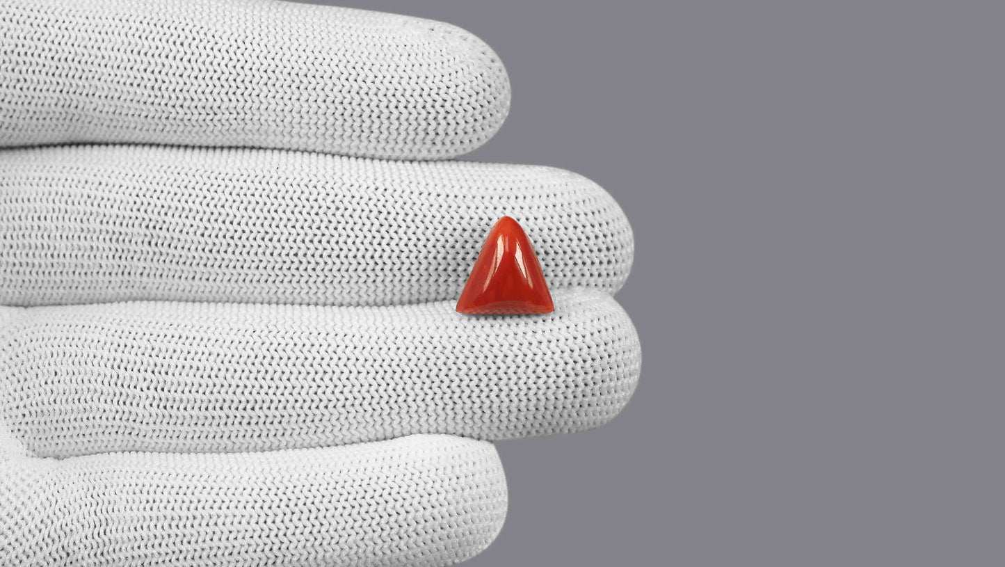 Natural Italian Red Coral (Moonga) 5.83 Carats