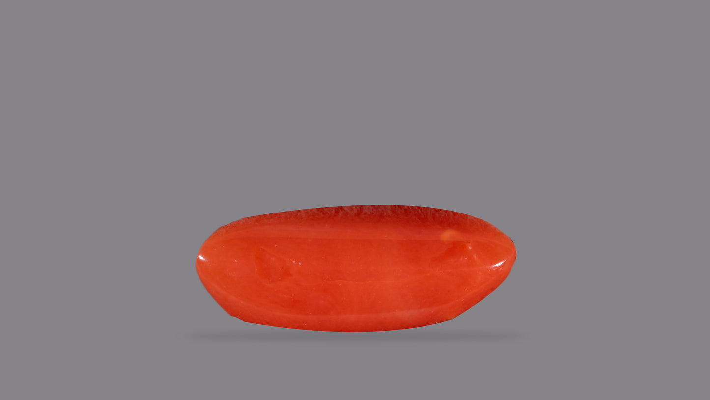 Natural Italian Red Coral (Moonga) 5.22 Carats