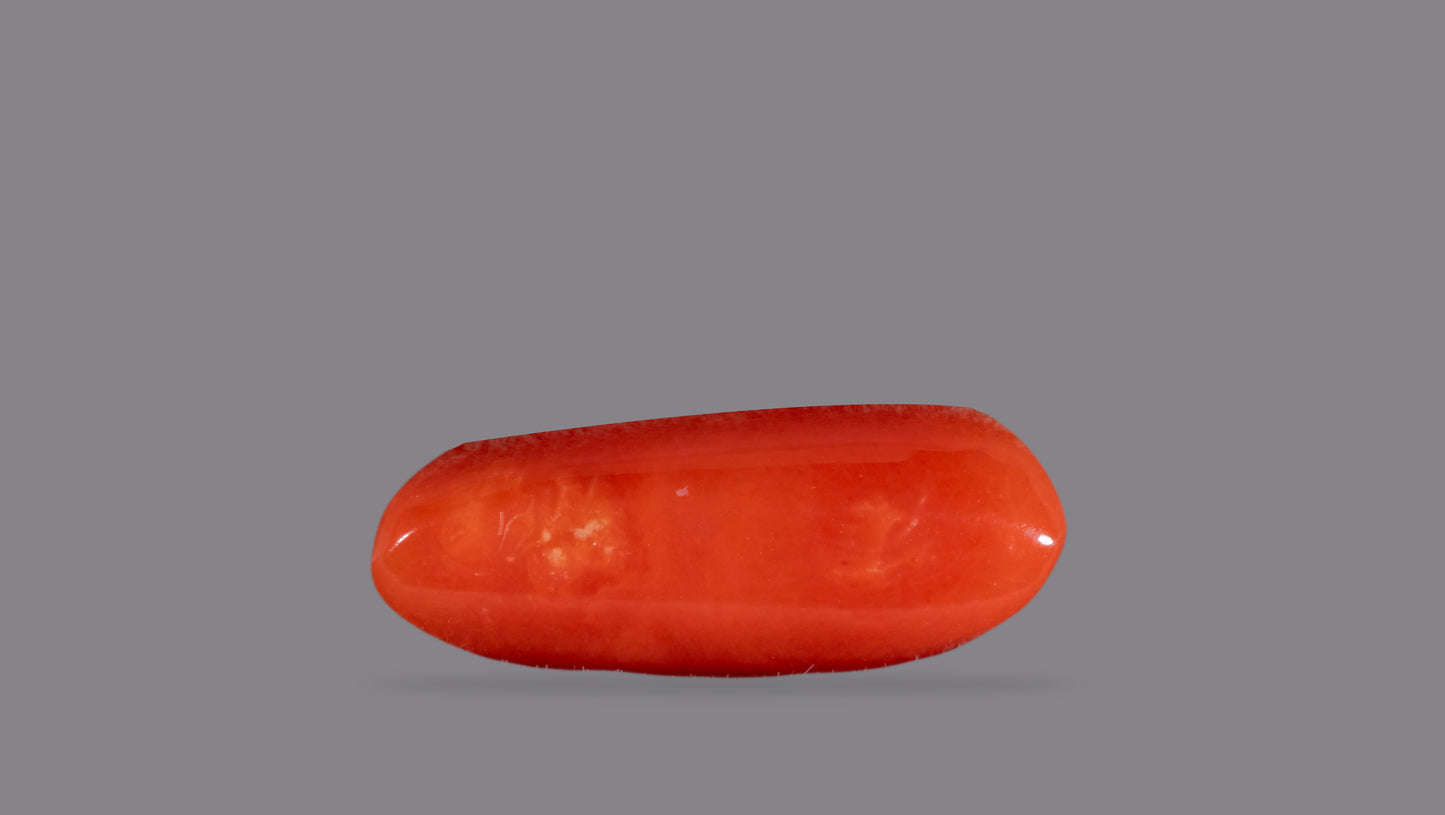 Natural Italian Red Coral (Moonga) 6.22 Carats