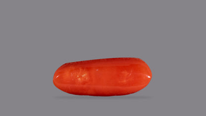 Natural Italian Red Coral (Moonga) 6.22 Carats