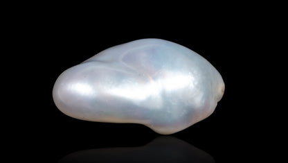Venezuela Pearl (Moti) 7.37 Carats