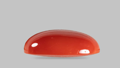 Japanese Red Coral (Moonga) 16.28 Carats