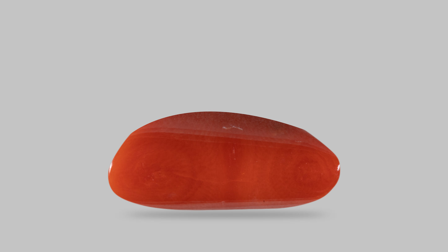 Natural Italian Red Coral (Moonga) 16.46 Carats