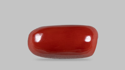 NATURAL RED CORAL (MOONGA) 13.31 CARATS