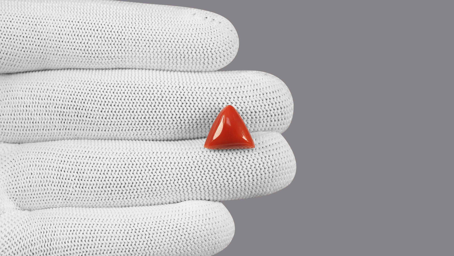 Natural Italian Red Coral (Moonga) 7.78 Carats