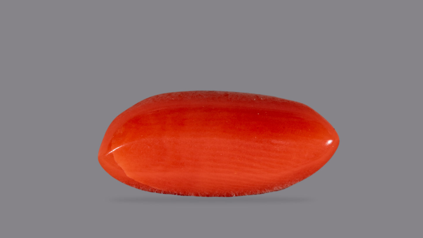 NATURAL RED CORAL (Moonga) 4.27 CARATS