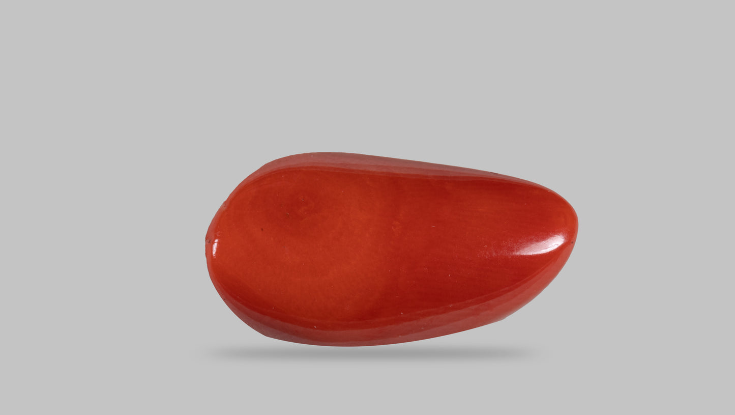 Natural Italian Red Coral (Moonga) 18.05 Carats