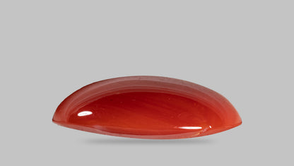 Japanese Red Coral (Moonga) 16.24 Carats