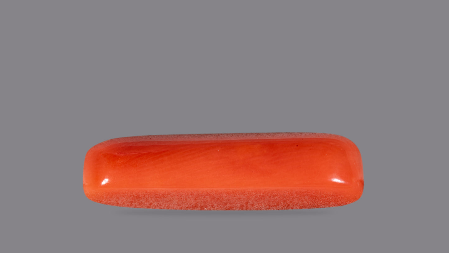 NATURAL RED CORAL (Moonga) 6.58 CARATS
