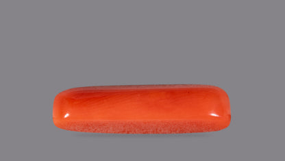 NATURAL RED CORAL (Moonga) 6.58 CARATS