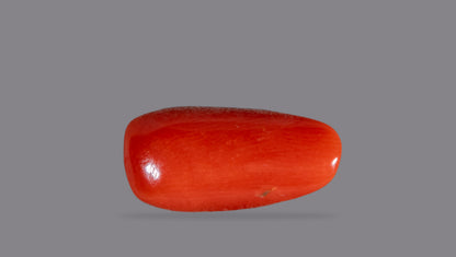 Natural Italian Red Coral (Moonga) 7.15 Carats