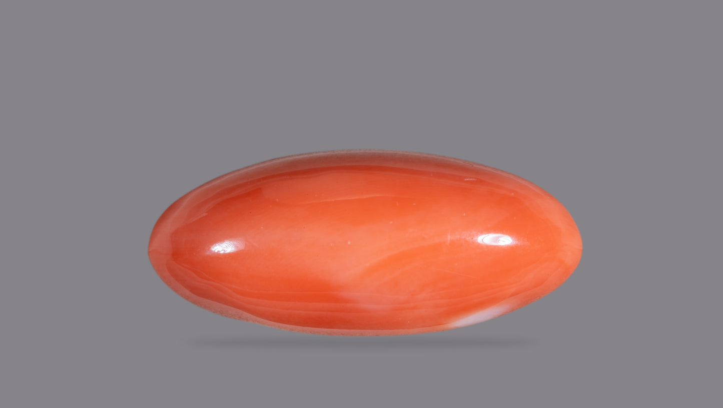 Japanese Red Coral (Moonga) 46.06 Carats