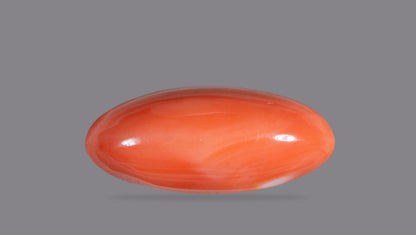 Japanese Red Coral (Moonga) 46.06 Carats