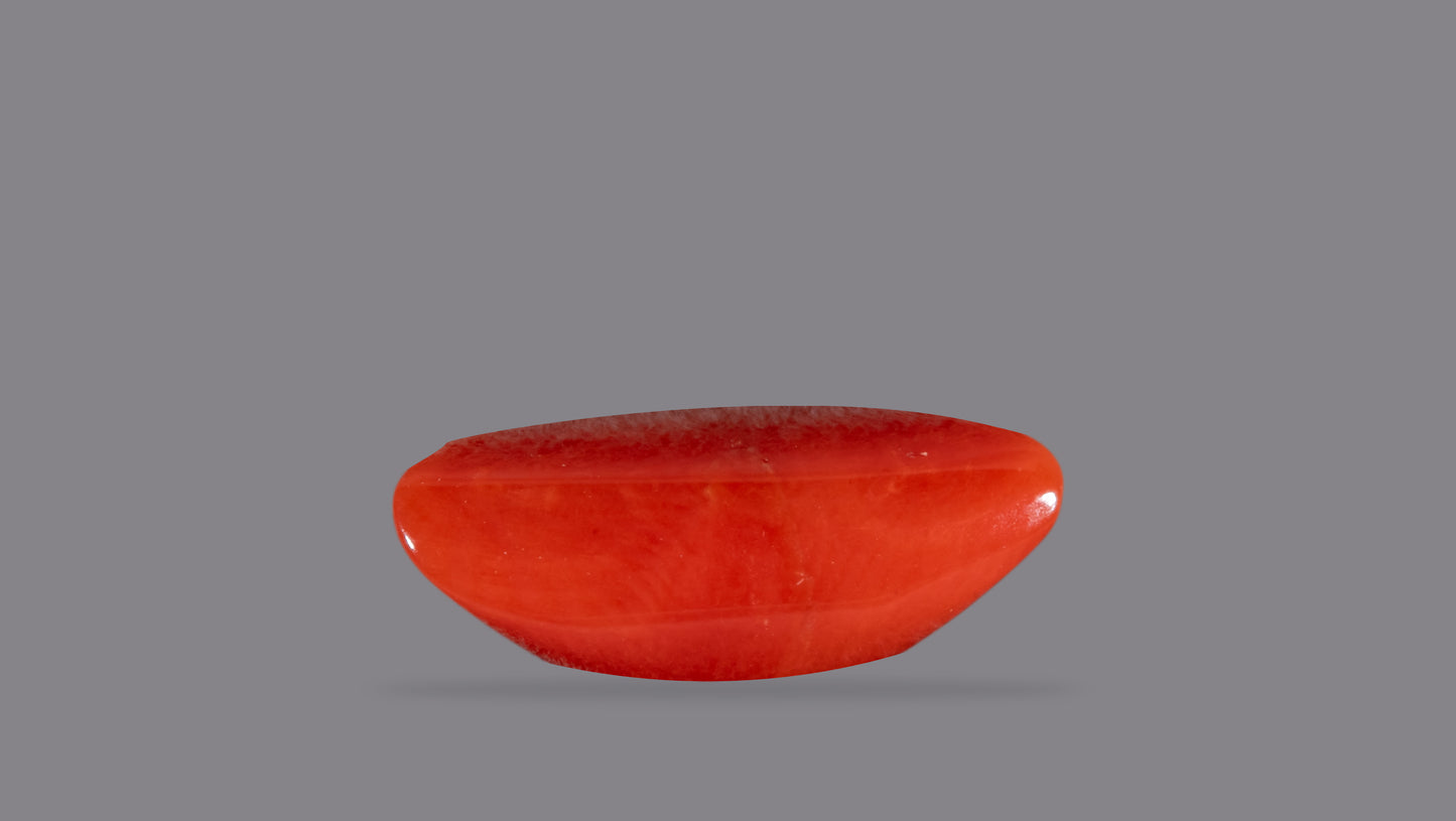Natural Italian Red Coral (Moonga) 6.95 Carats
