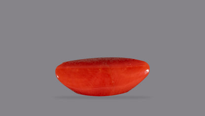 Natural Italian Red Coral (Moonga) 6.95 Carats