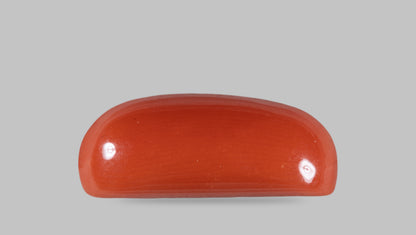 Natural Italian Red Coral (Moonga) 11.66 Carats