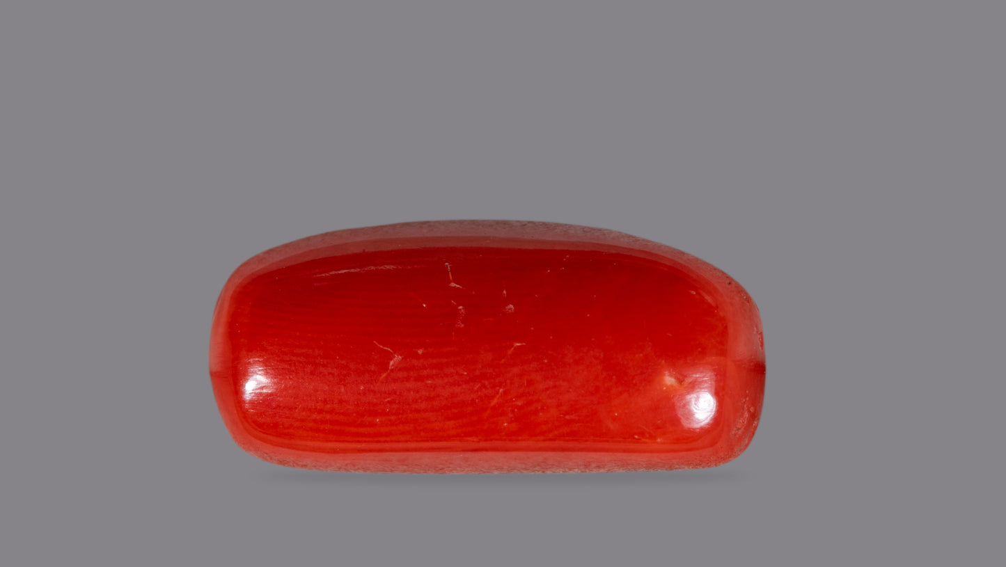 Natural Italian Red Coral (Moonga) 7.04 Carats