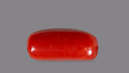 Natural Italian Red Coral (Moonga) 7.04 Carats