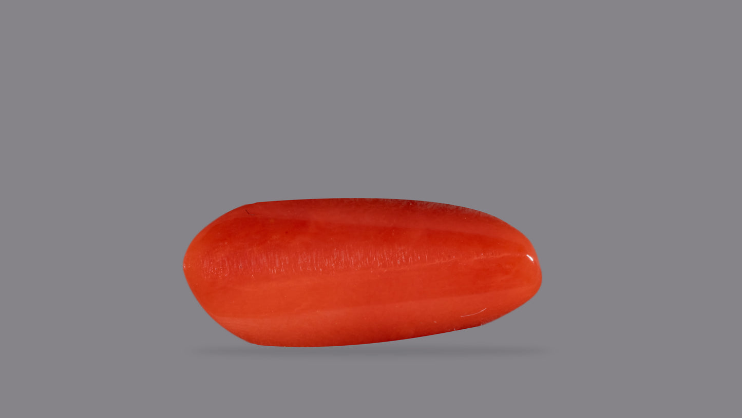 Natural Italian Red Coral (Moonga) 6.27 Carats