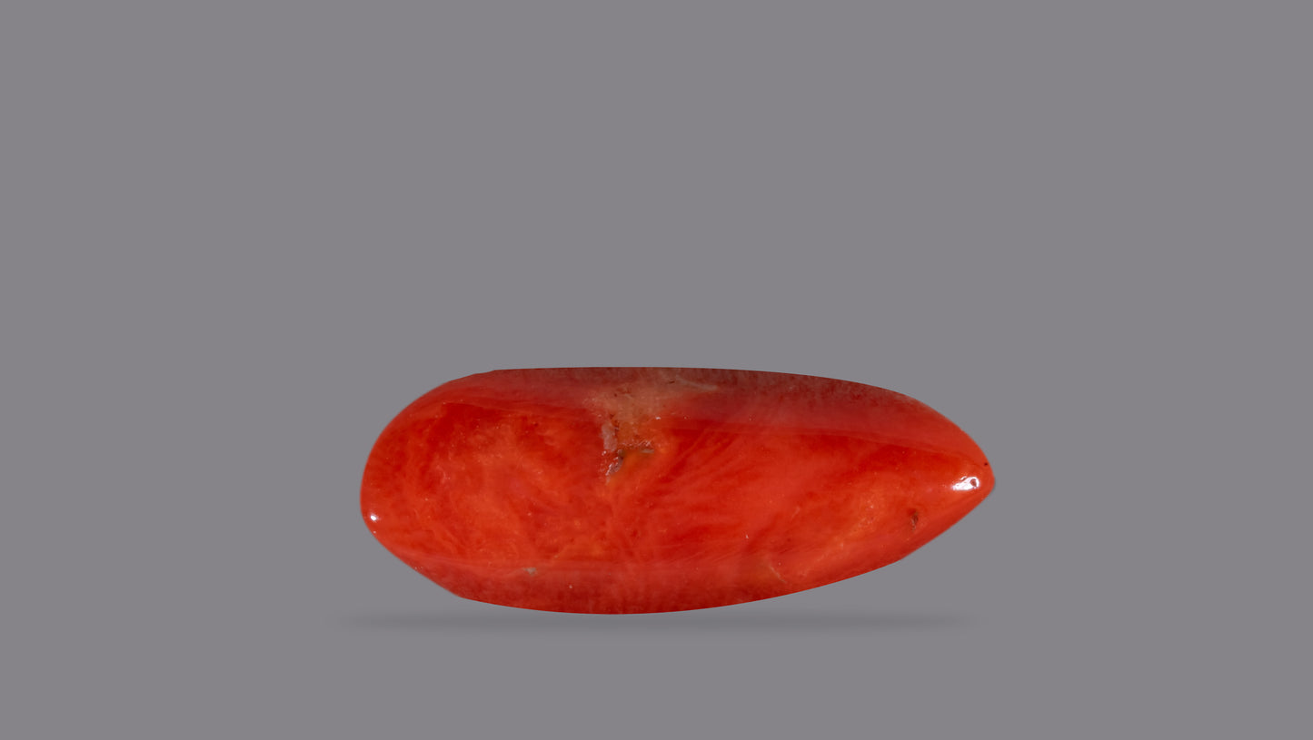 Natural Italian Red Coral (Moonga) 11.81 Carats