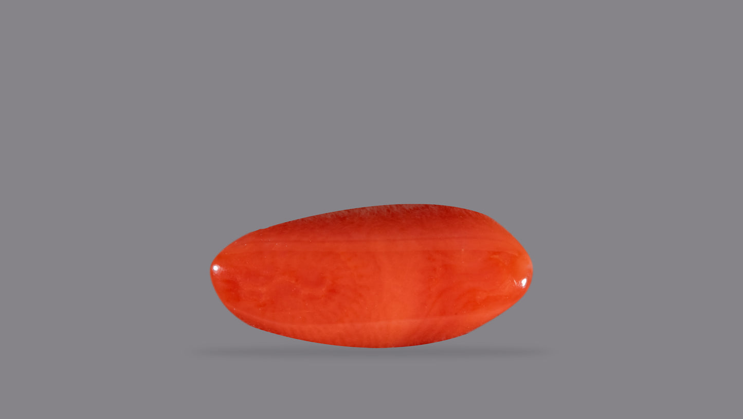 Natural Italian Red Coral (Moonga) 5.74 Carats