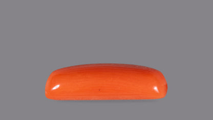 NATURAL RED CORAL (Moonga) 6.04 CARATS