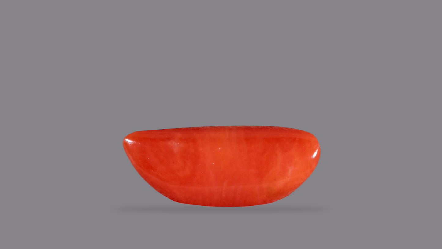 Natural Italian Red Coral (Moonga) 5.34 Carats