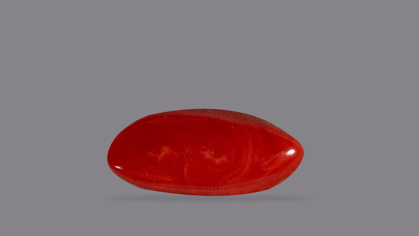 Natural Red Coral (Moonga) 14.78 Carats