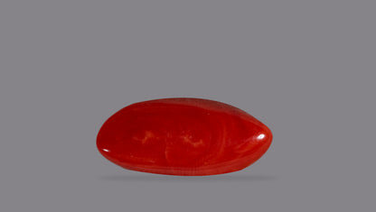 Natural Red Coral (Moonga) 14.78 Carats