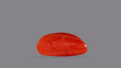 Natural Red Coral (Moonga) 6.54 Carats
