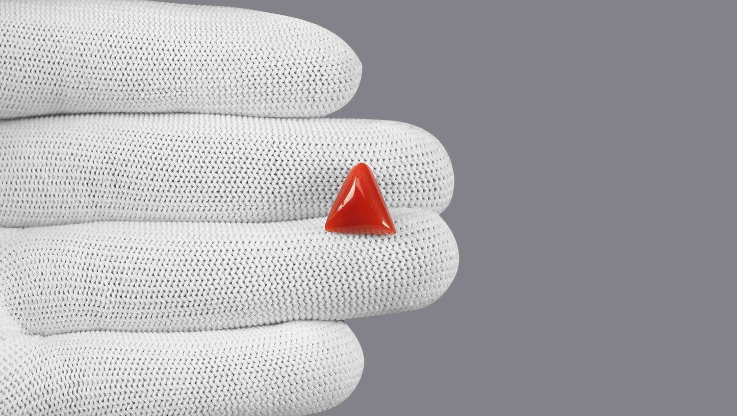 Natural Italian Red Coral (Moonga) 6.31 Carats