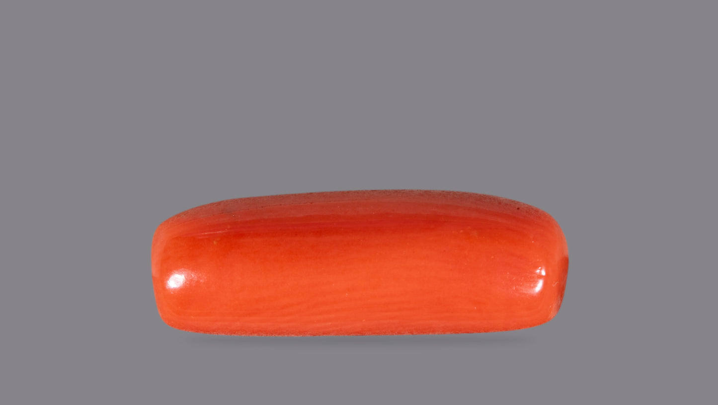 Natural Red Coral (Moonga) 7.09 Carats