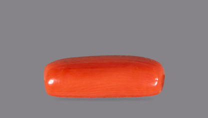 Natural Red Coral (Moonga) 7.09 Carats